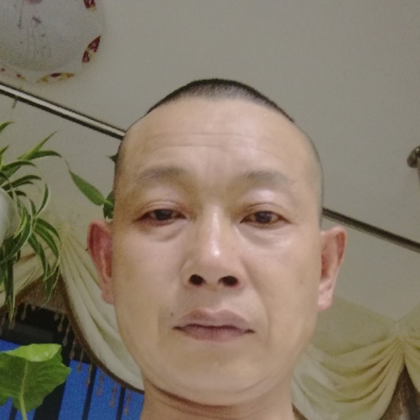 龙猫泪了清爽的照片