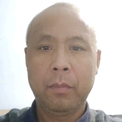 辛勤苦恋长颈鹿的照片