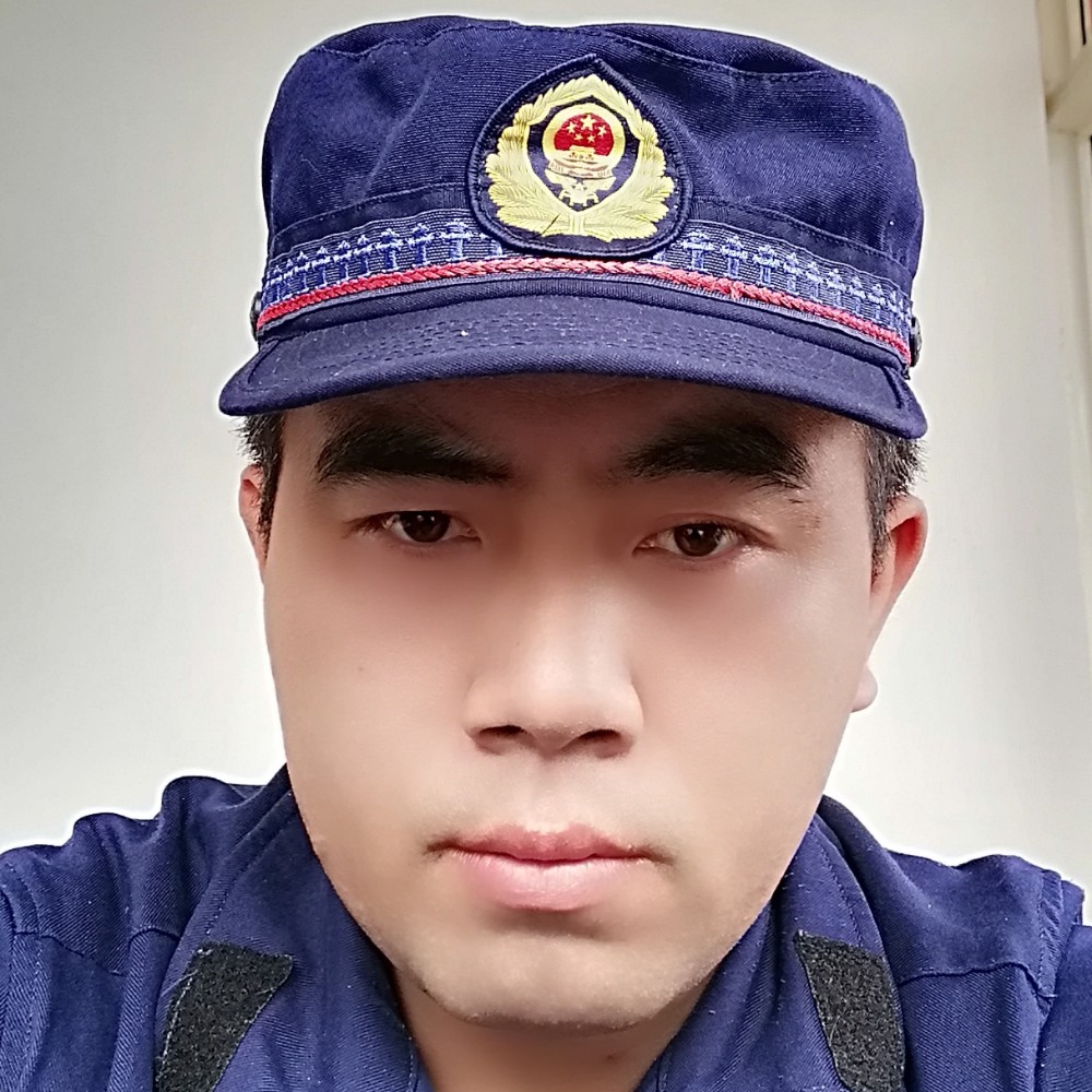 大炮請优秀的照片