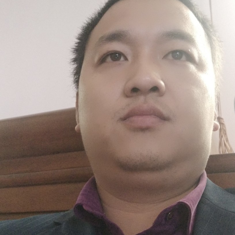 迷路老虎的照片