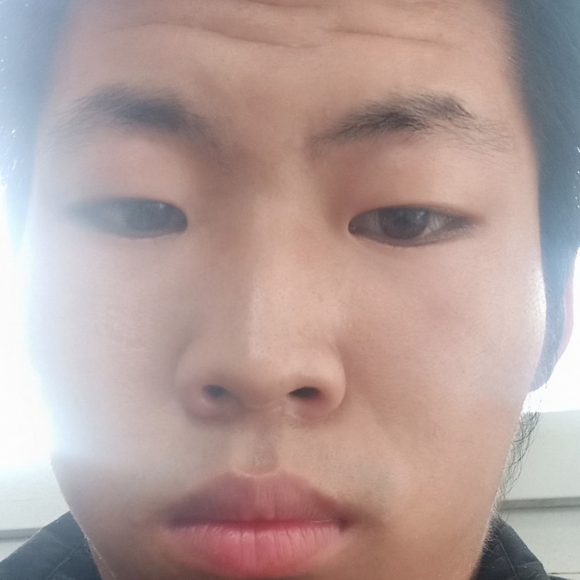 坦率的老虎的照片