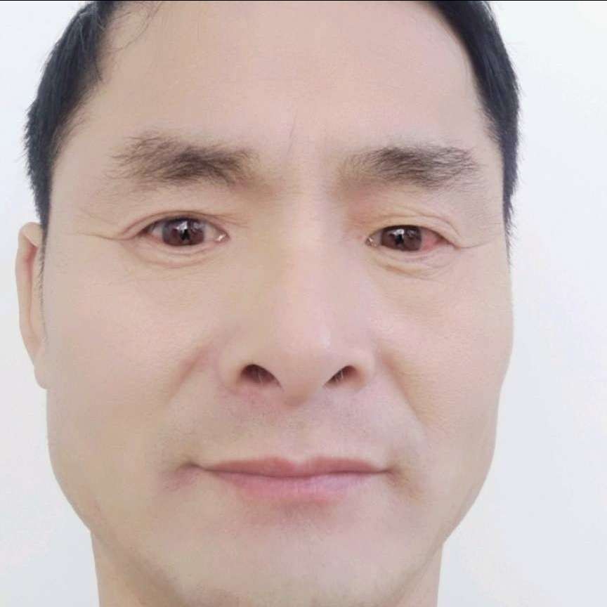 热情向大树的照片