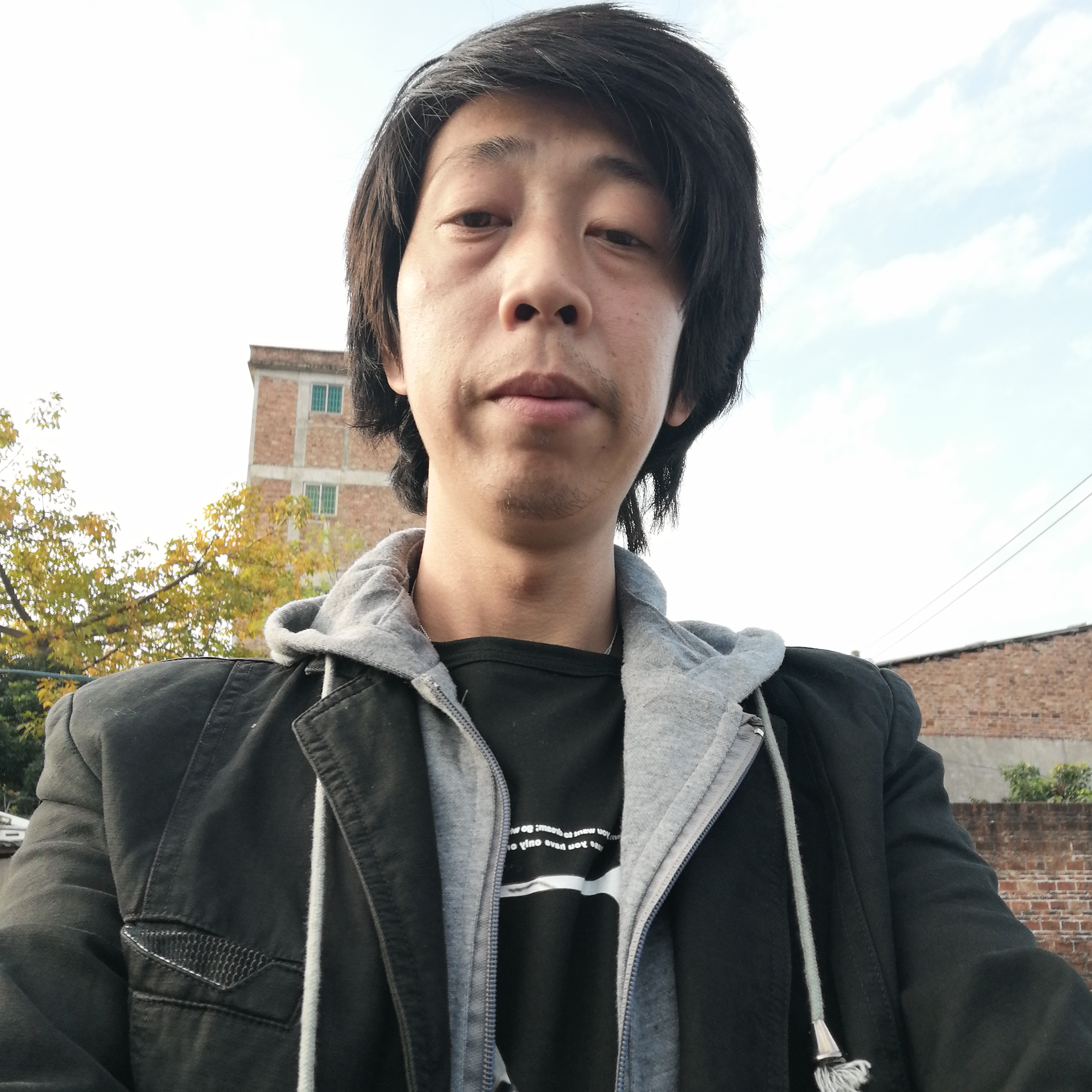 曲奇請生动379的照片