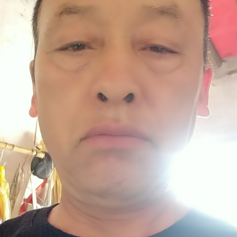 兮颜笨笨的照片