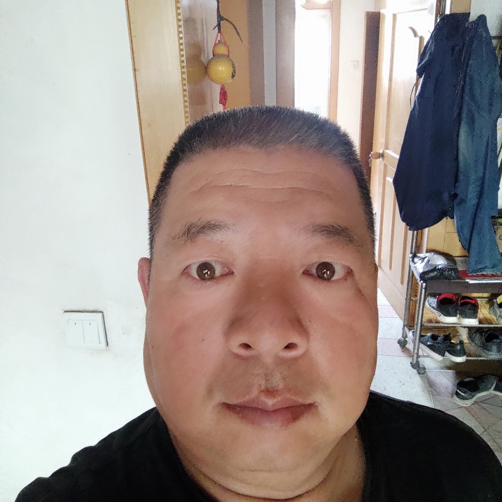 多情凝眸小海豚的照片