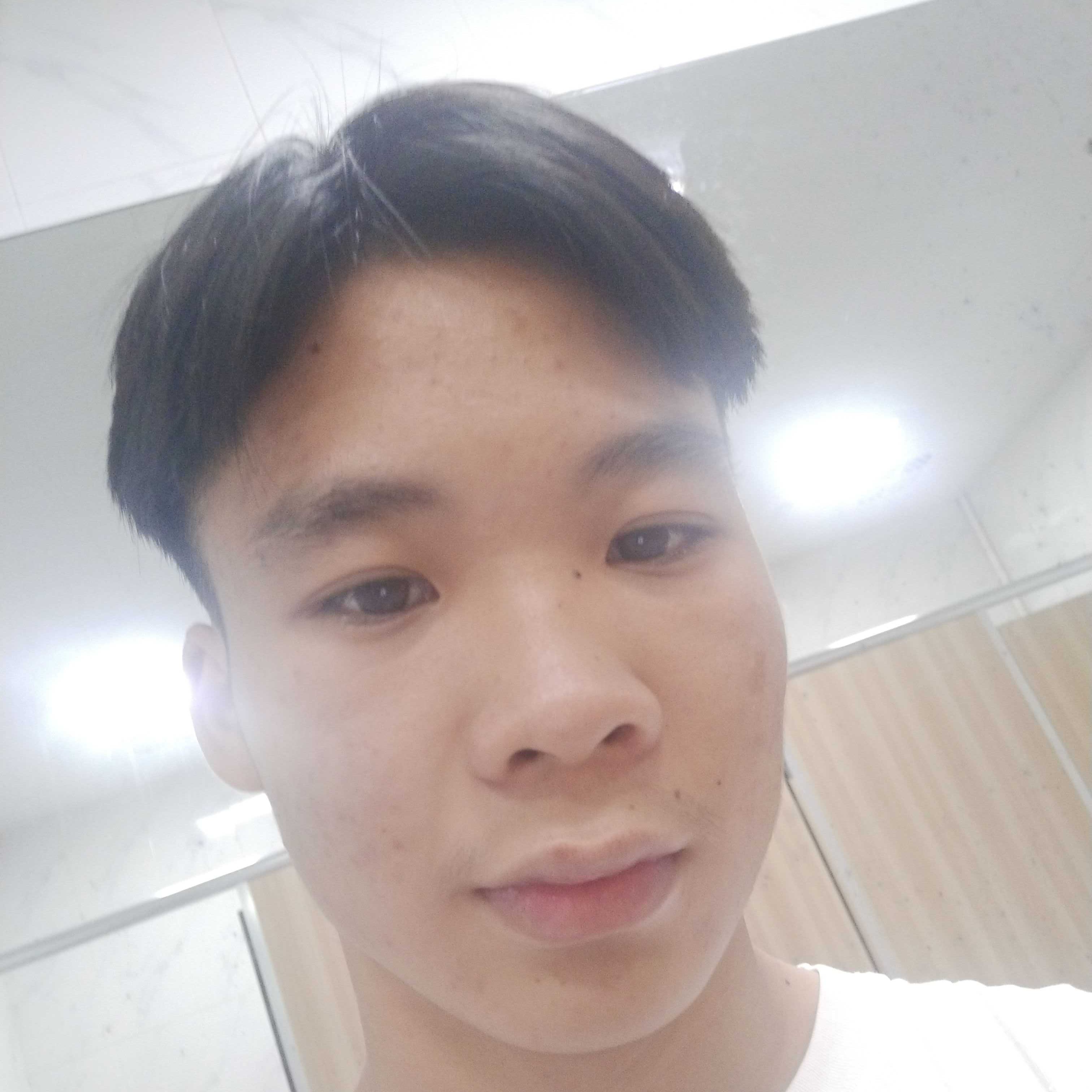 睡不醒的小可爱的照片