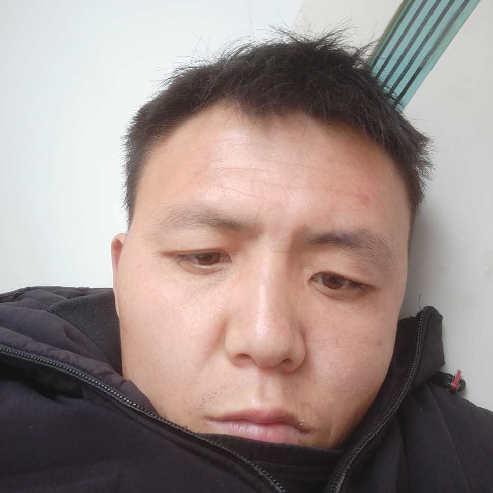 宝马吃醋美满的照片
