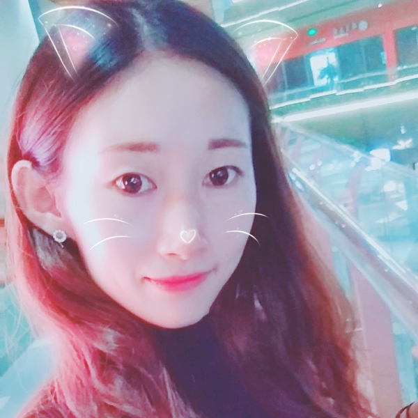 炙热向日葵的照片