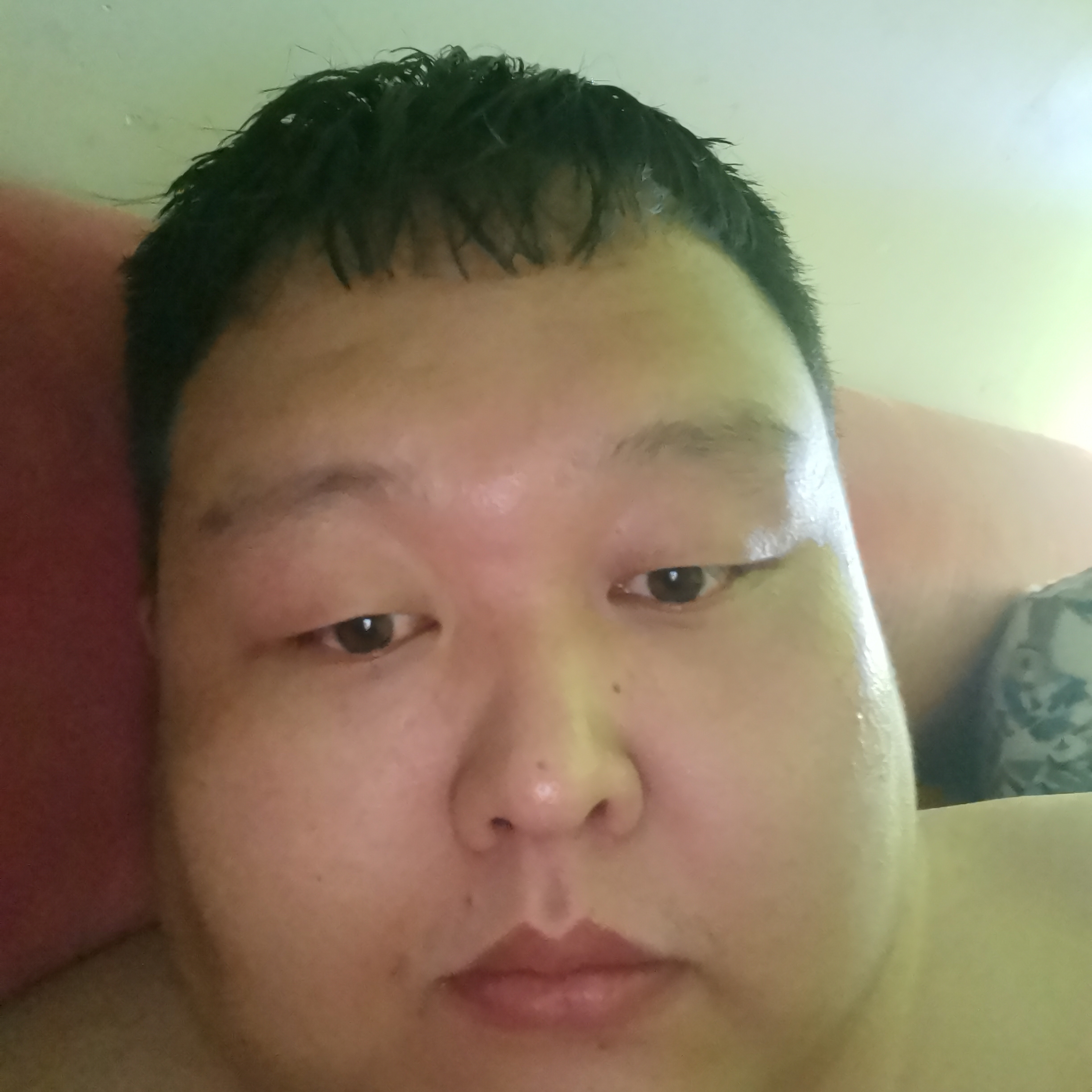 清爽愿机器猫的照片