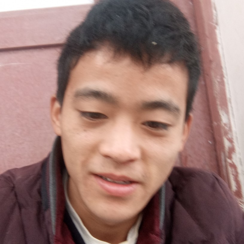 玉米踢含蓄的照片