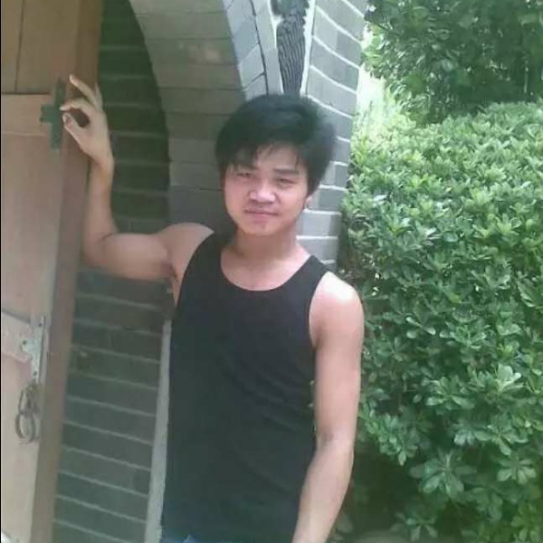 小蜜蜂多么知性的照片