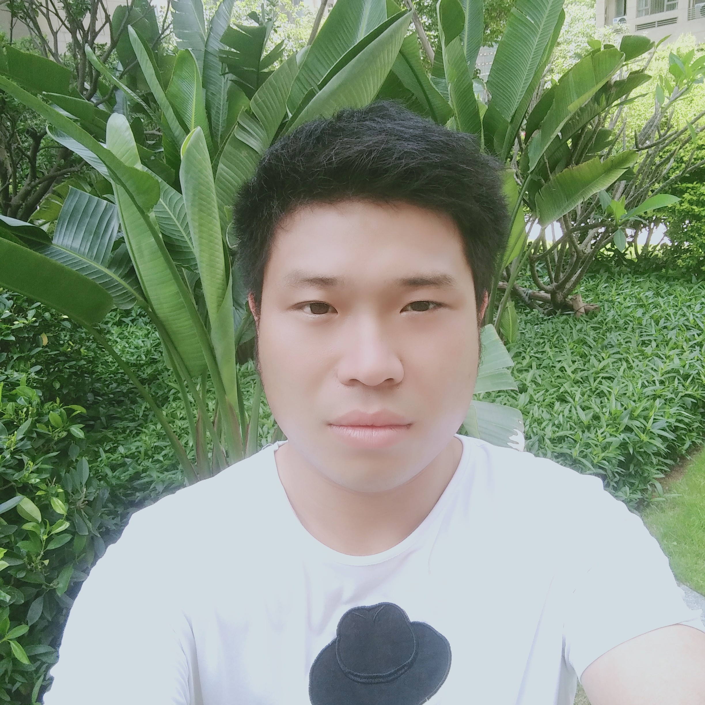 典雅停止微笑的照片