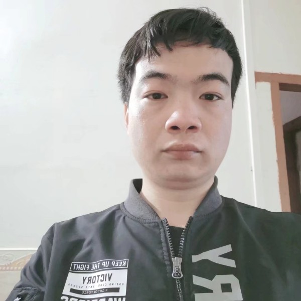 长颈鹿多么坦率的照片
