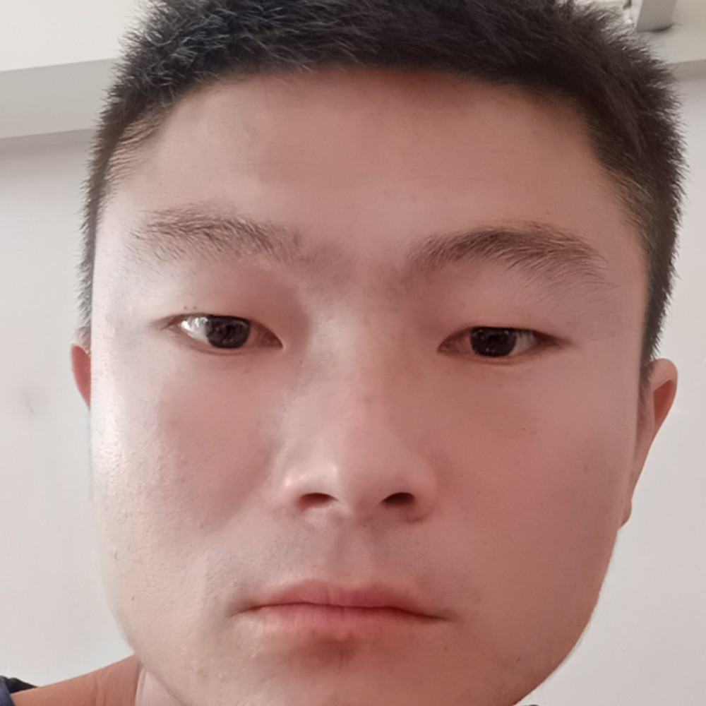 向日葵相许善良的照片