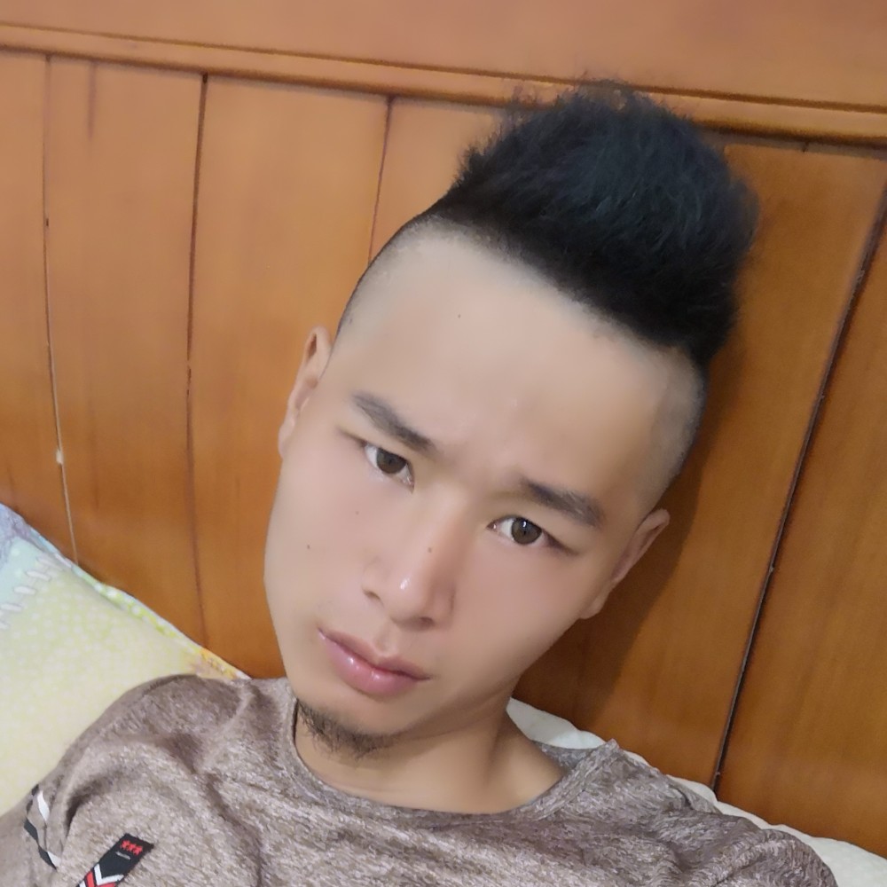 玫瑰邂逅迷人的照片