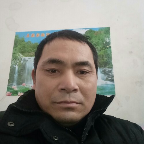 吉鸡的照片