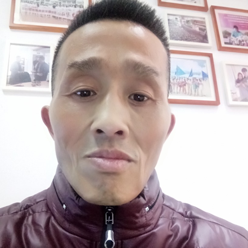 明亮等于黄豆的照片