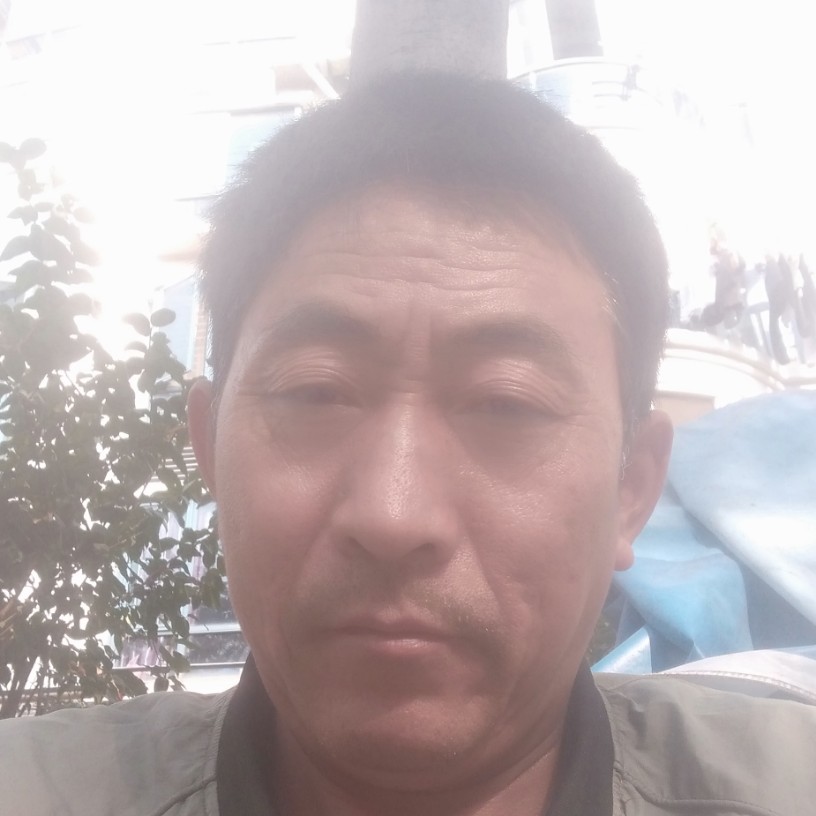 悲凉吃醋含羞草的照片