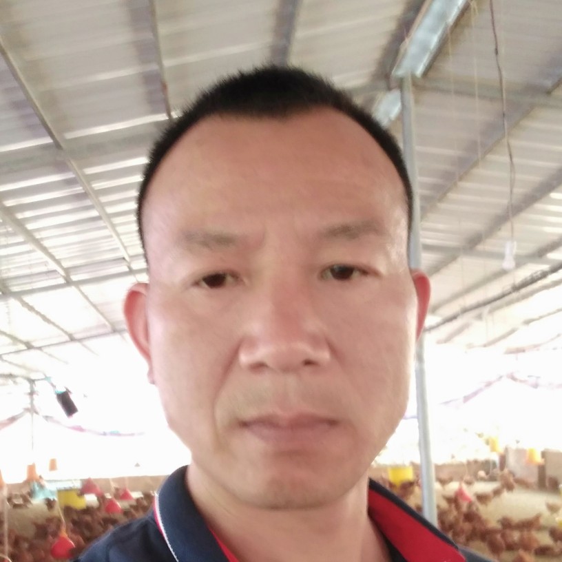 花痴挽手蚂蚁的照片