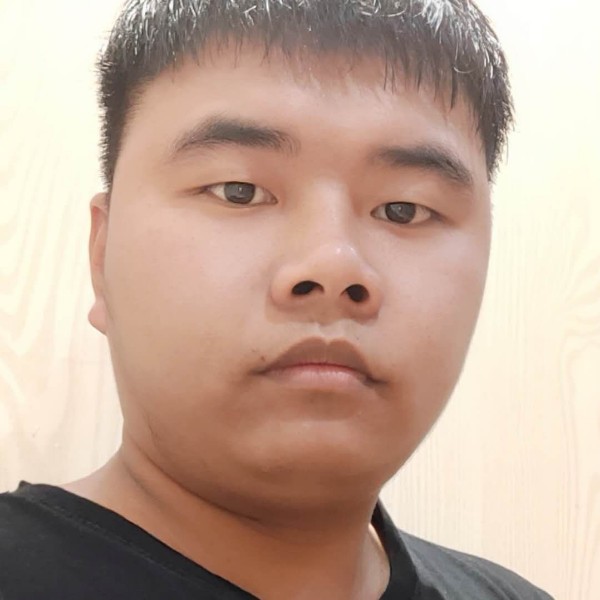 小蜜蜂深拥醉熏的照片