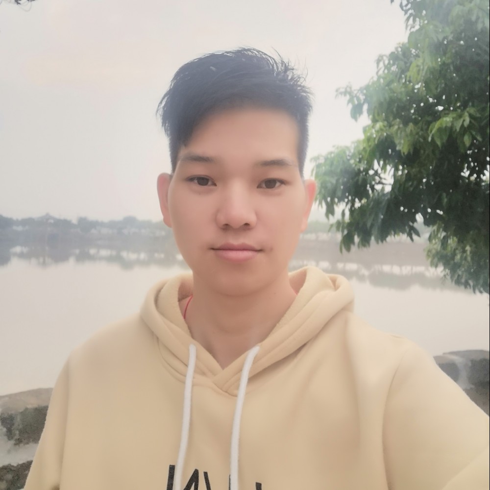 蜜蜂正直的照片