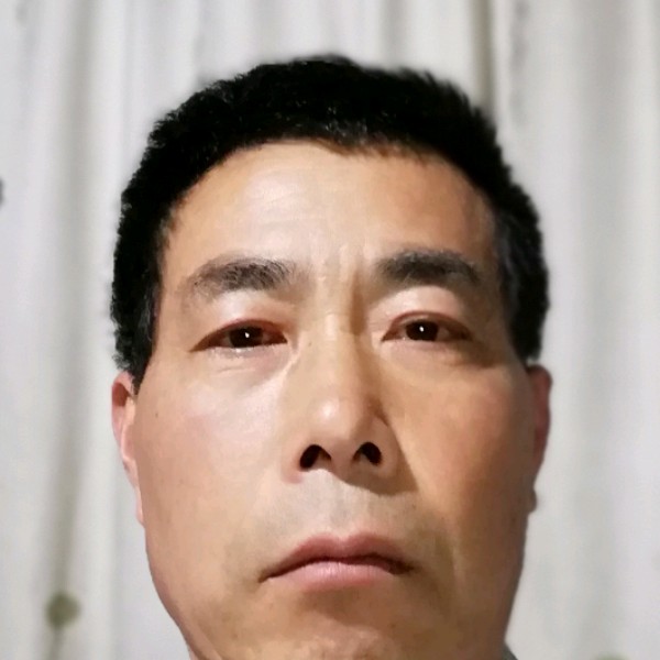 飞鸟虚拟的照片
