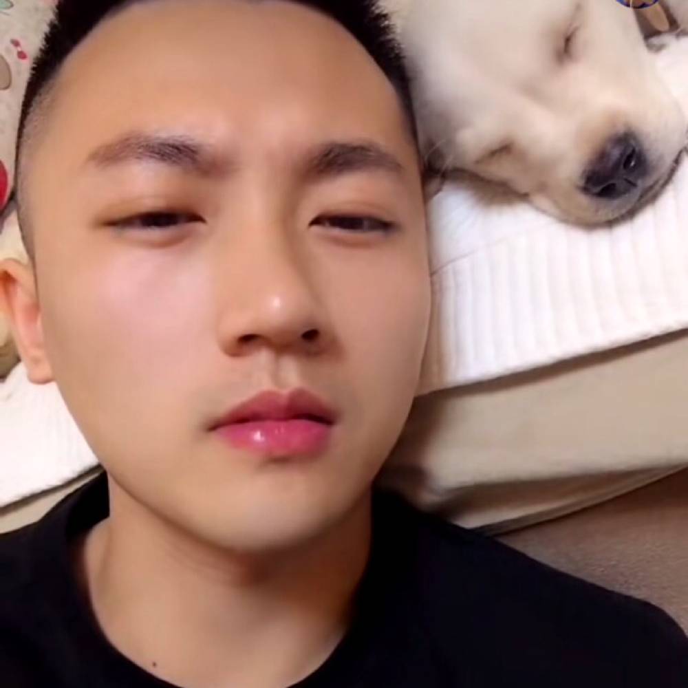 南鸢改变失眠的照片