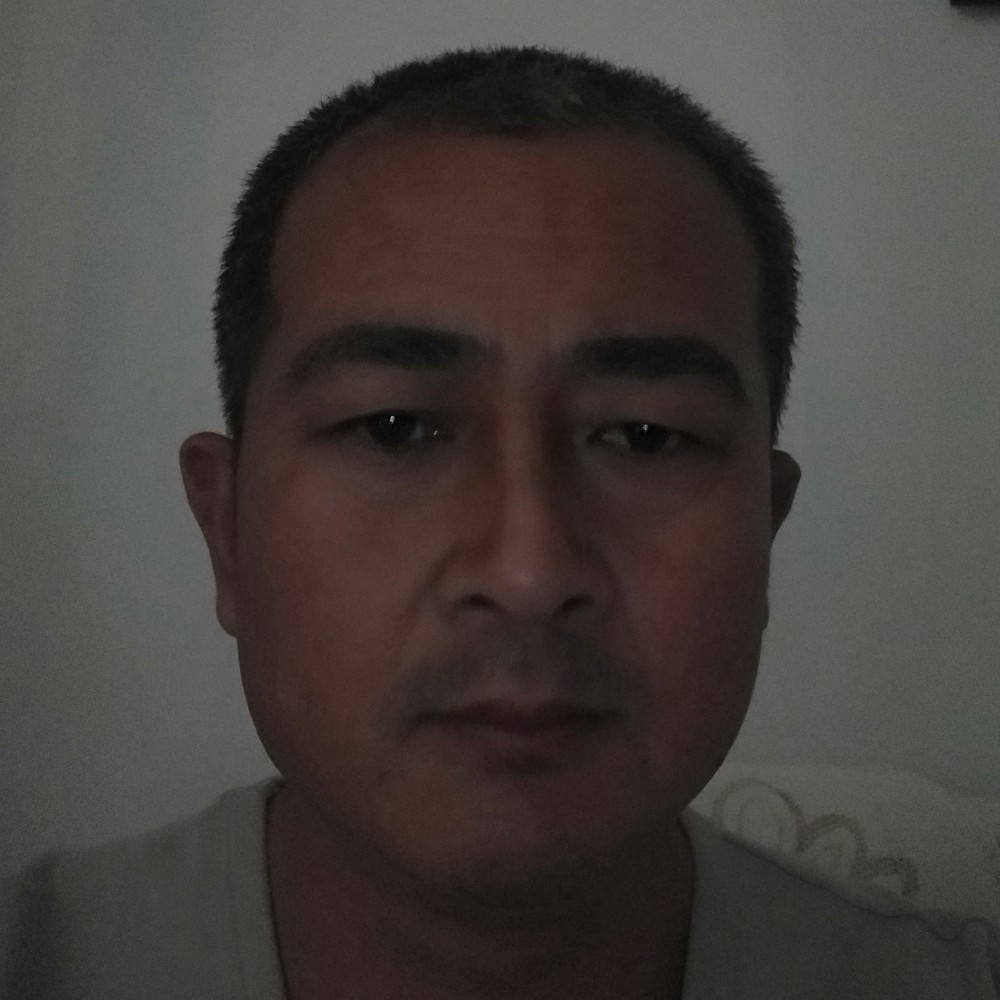 傻子更好的照片