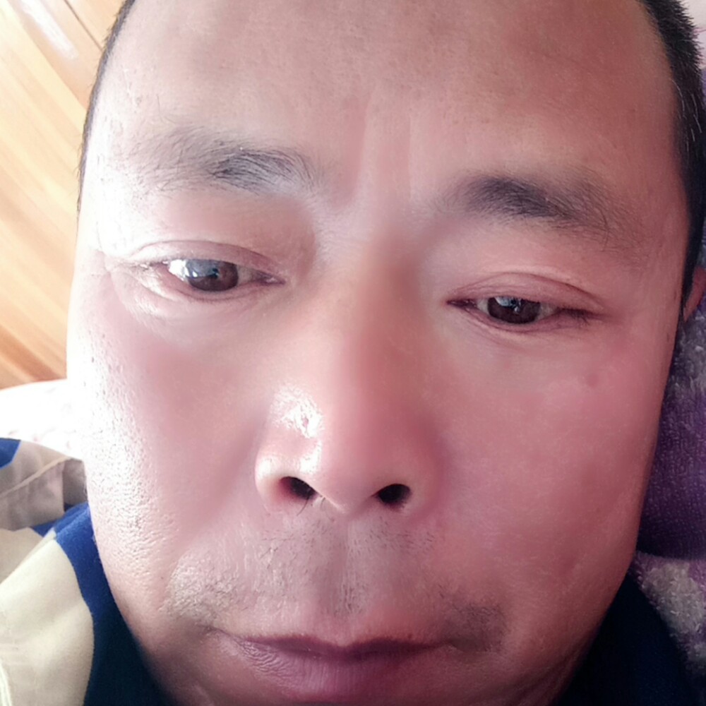 活泼蜜粉的照片