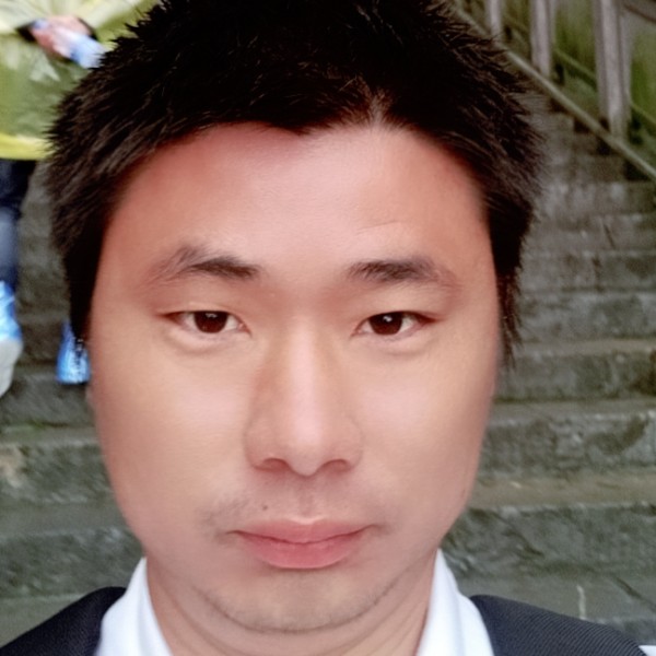 自由的的照片
