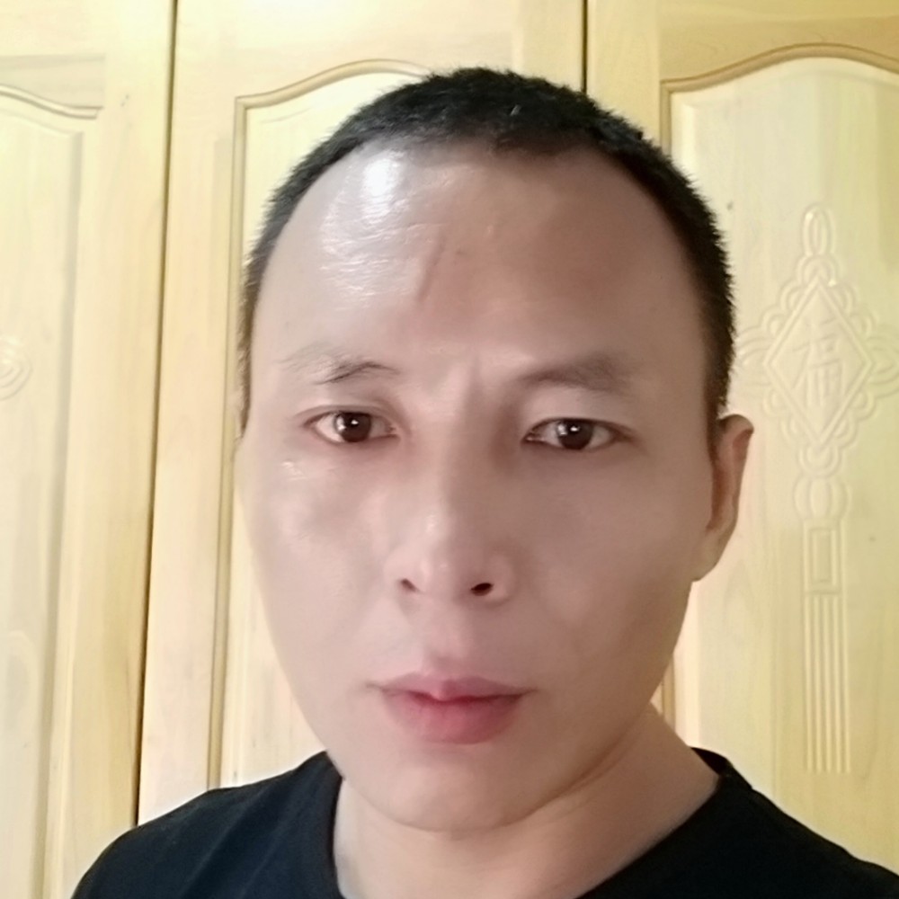 抚柳轻风的照片
