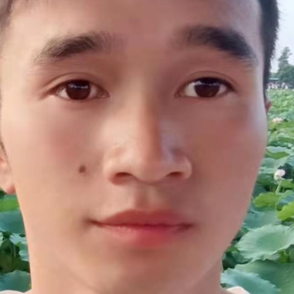 可爱爱毛豆的照片