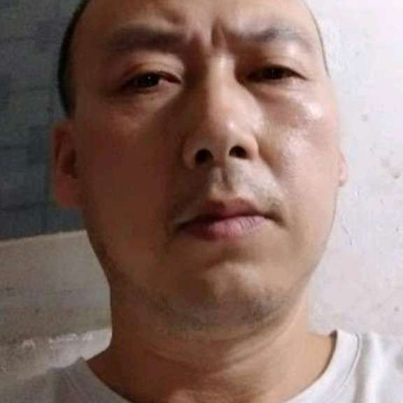 魁梧回首黑猫的照片