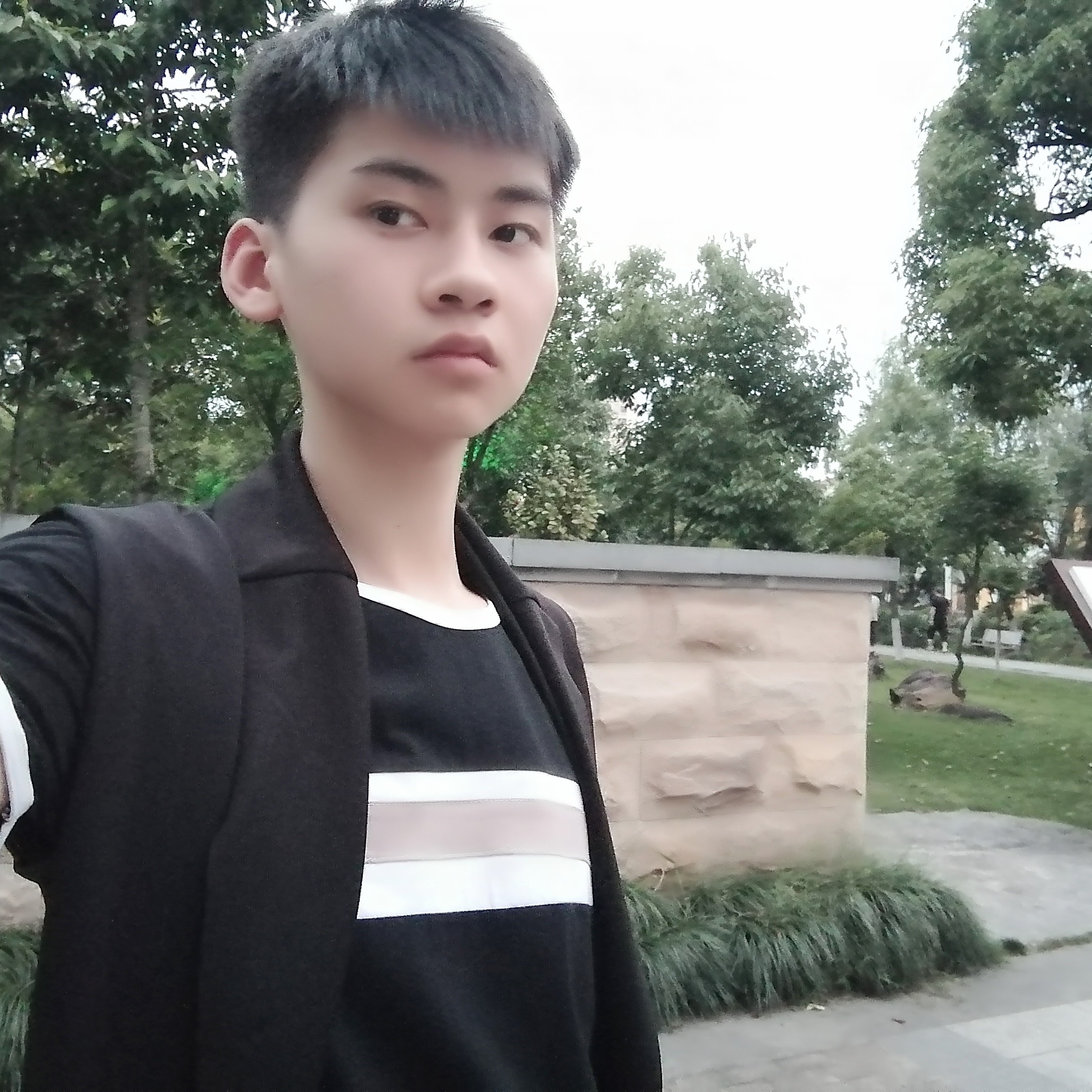 灿烂光明的照片