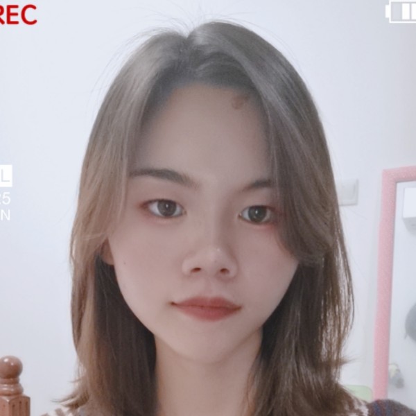 踏实的小熊猫的照片