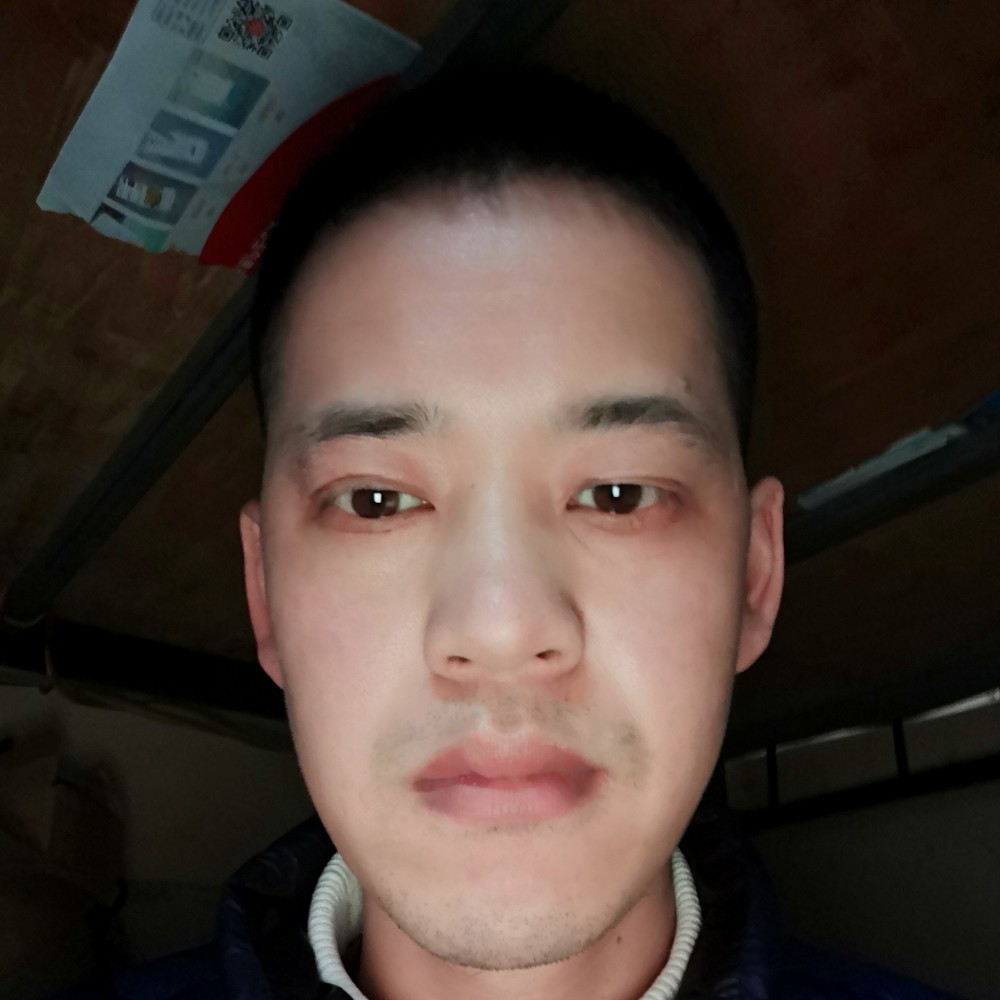 也许会停下的照片