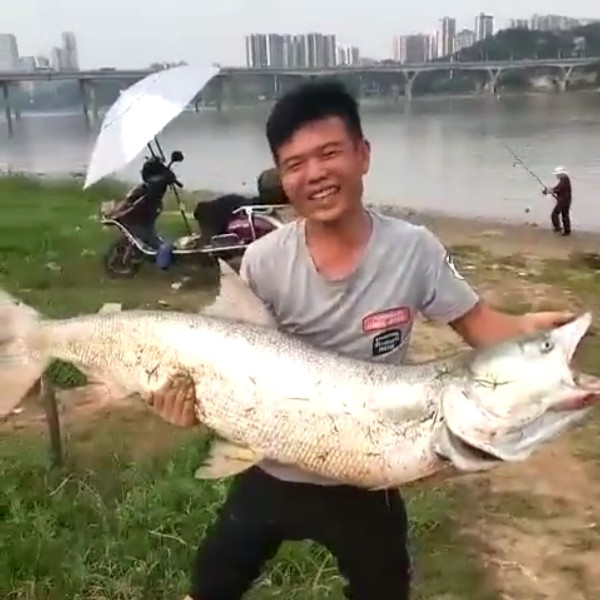 被师傅丢掉小猴子的照片
