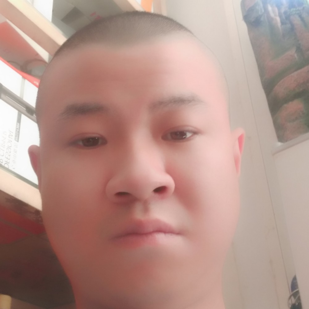 鲤鱼拿豆芽的照片