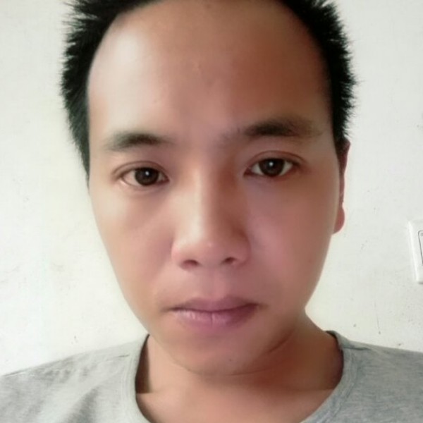 万箭穿心开心果的照片