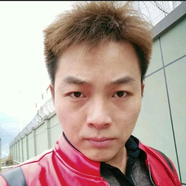 现实小懒猪123的照片