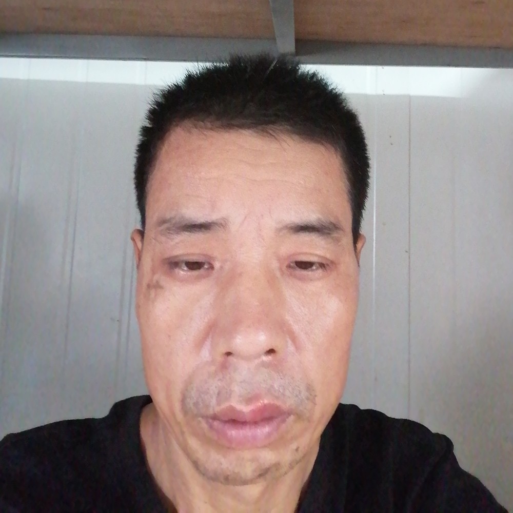 太阳有健忘的照片