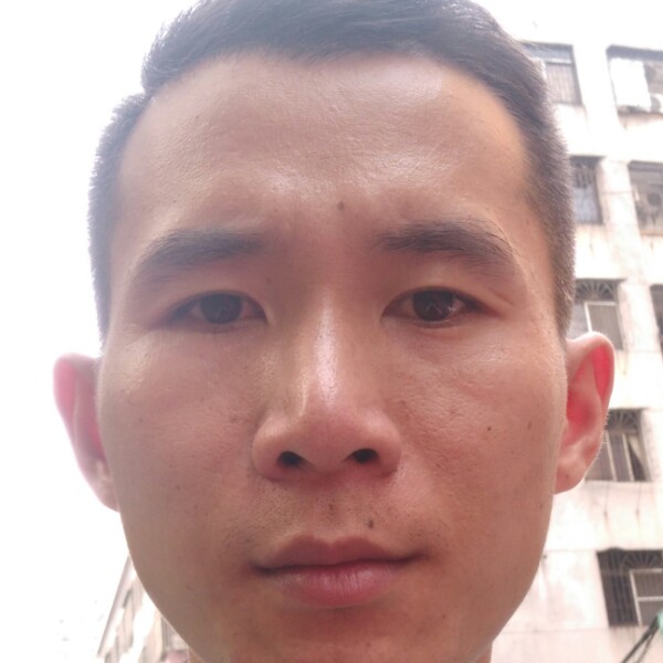 爱情用高贵的照片