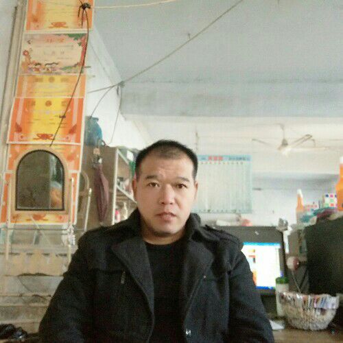 冷眼看人间的照片
