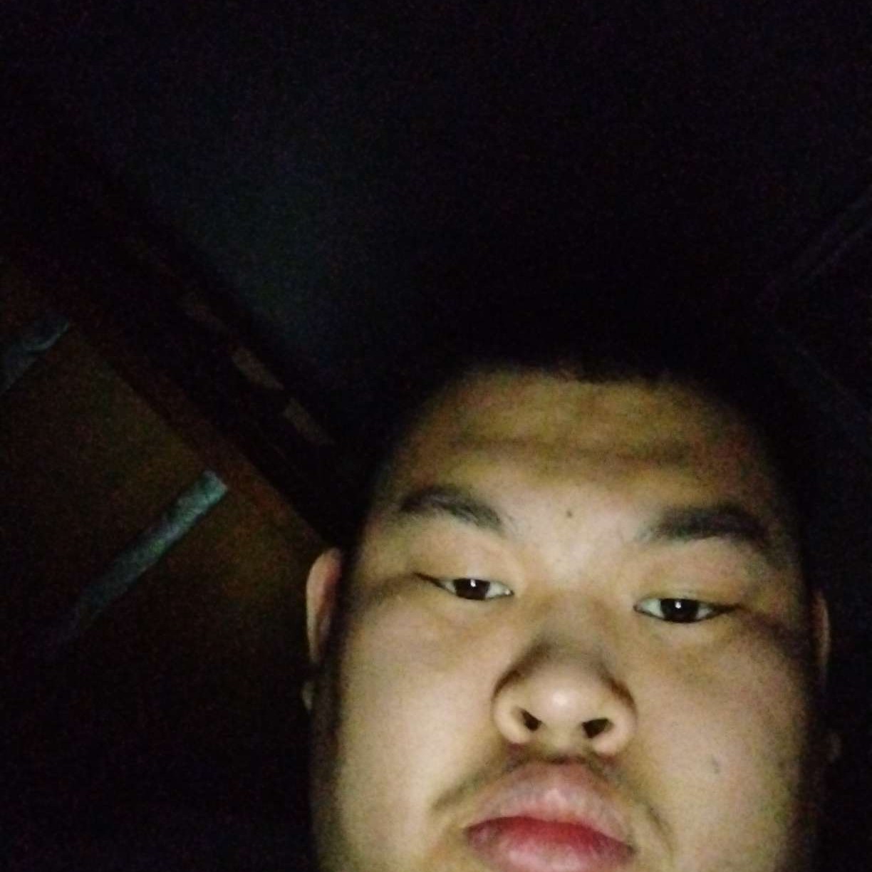 龙腾的照片