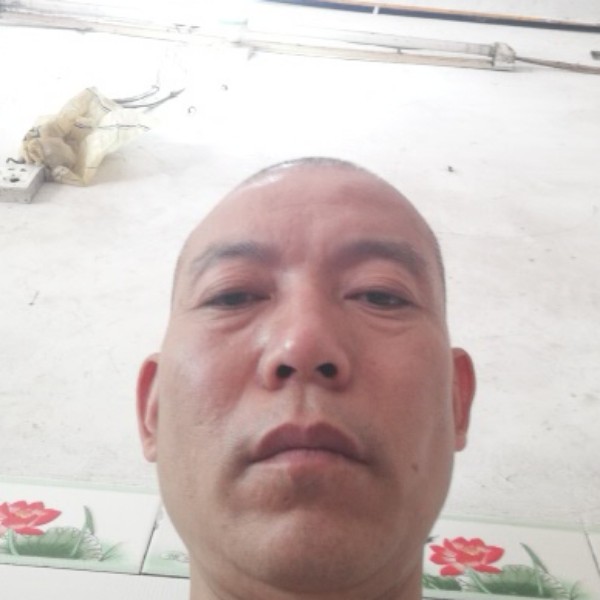 蜻蜓活泼的照片