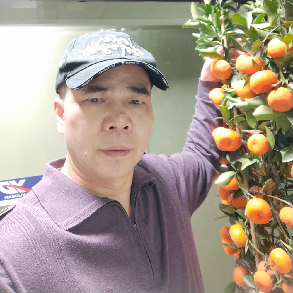 高高拾忆巨人的照片