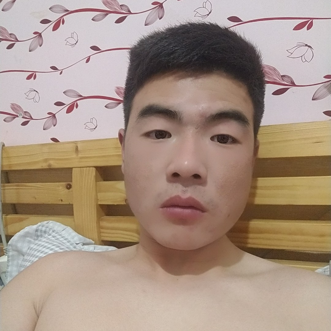 友好小鸽子869的照片