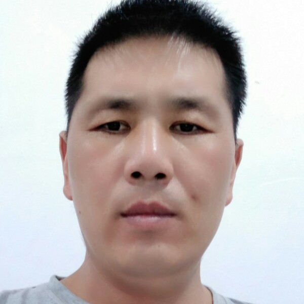 淡然多么老虎的照片