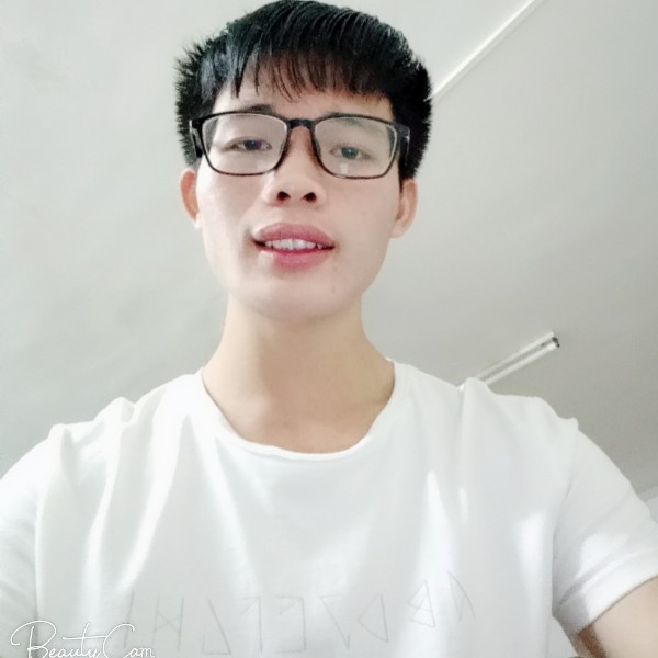 小巧小蚂蚁的照片