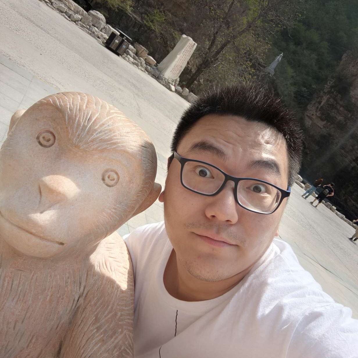 橘子的照片